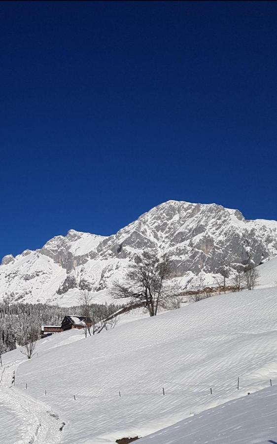 Haus Meikl Mühlbach am Hochkönig Dış mekan fotoğraf