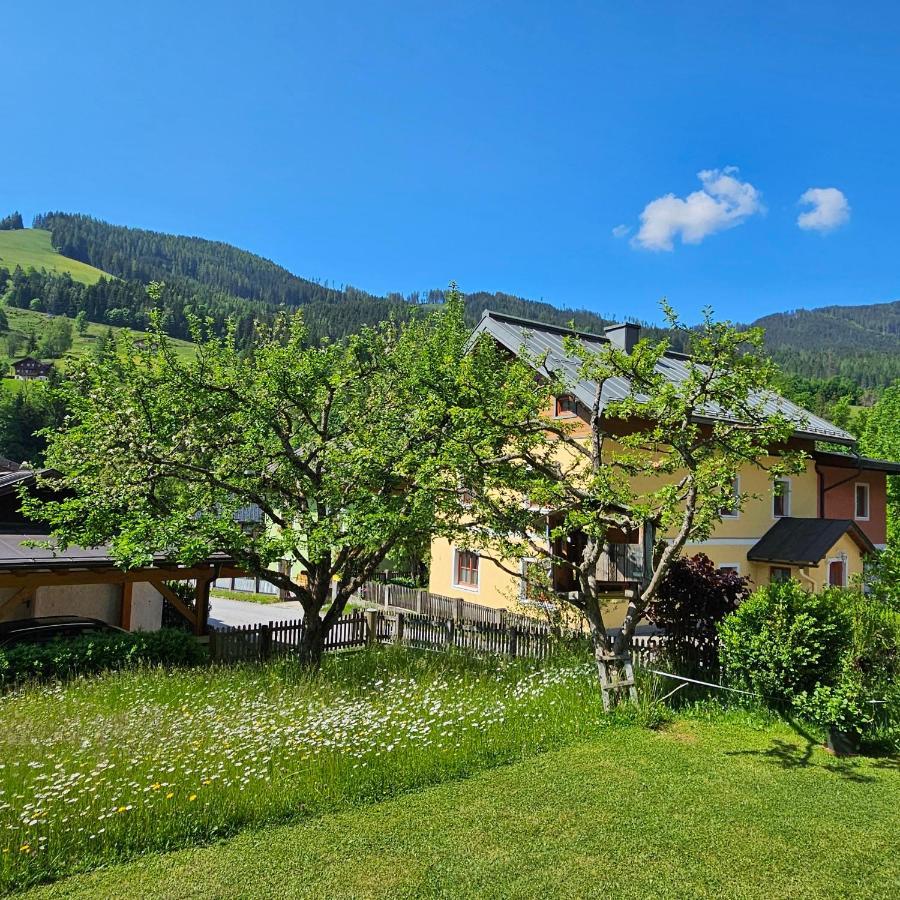 Haus Meikl Mühlbach am Hochkönig Dış mekan fotoğraf